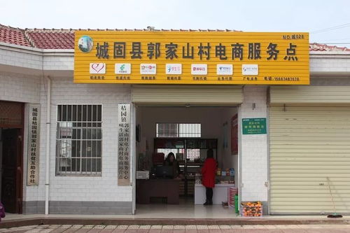 電子商務技術助力城固扶貧 2120戶貧困戶搭上電商新列車