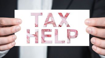 軟件開發(fā)中的退稅 概念、流程與策略解析